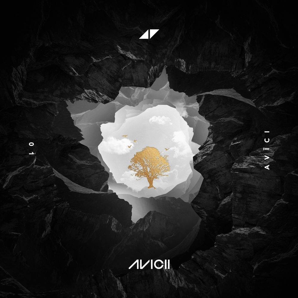 avicii without you lyrics