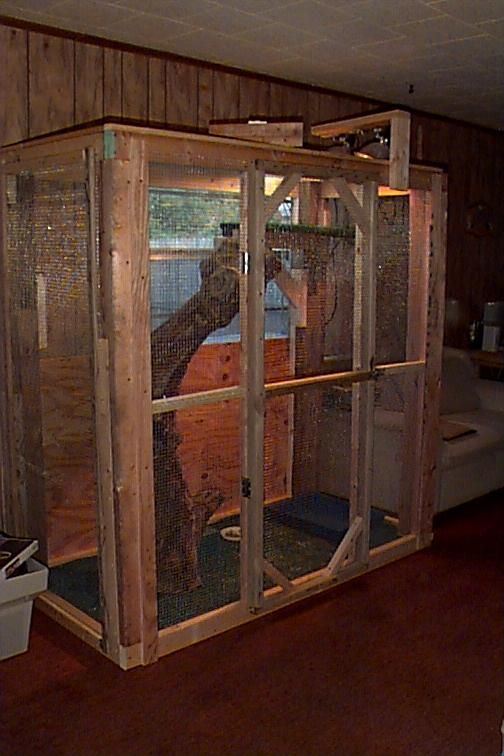 diy iguana enclosure