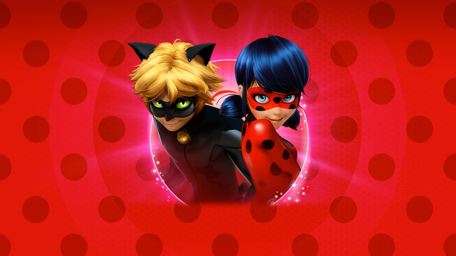 ladybug wallpaper hd