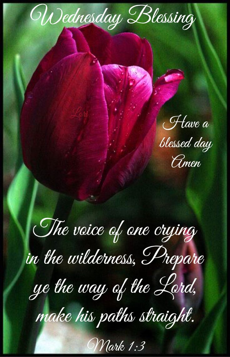 wednesday blessings bible verses