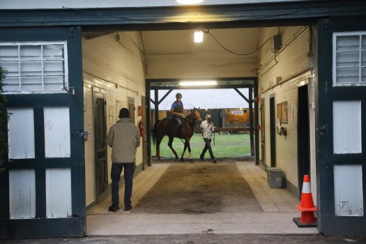 saratoga entries