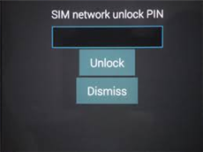 globe network unlock pin