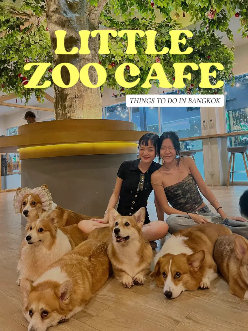 little zoo cafe bangkok