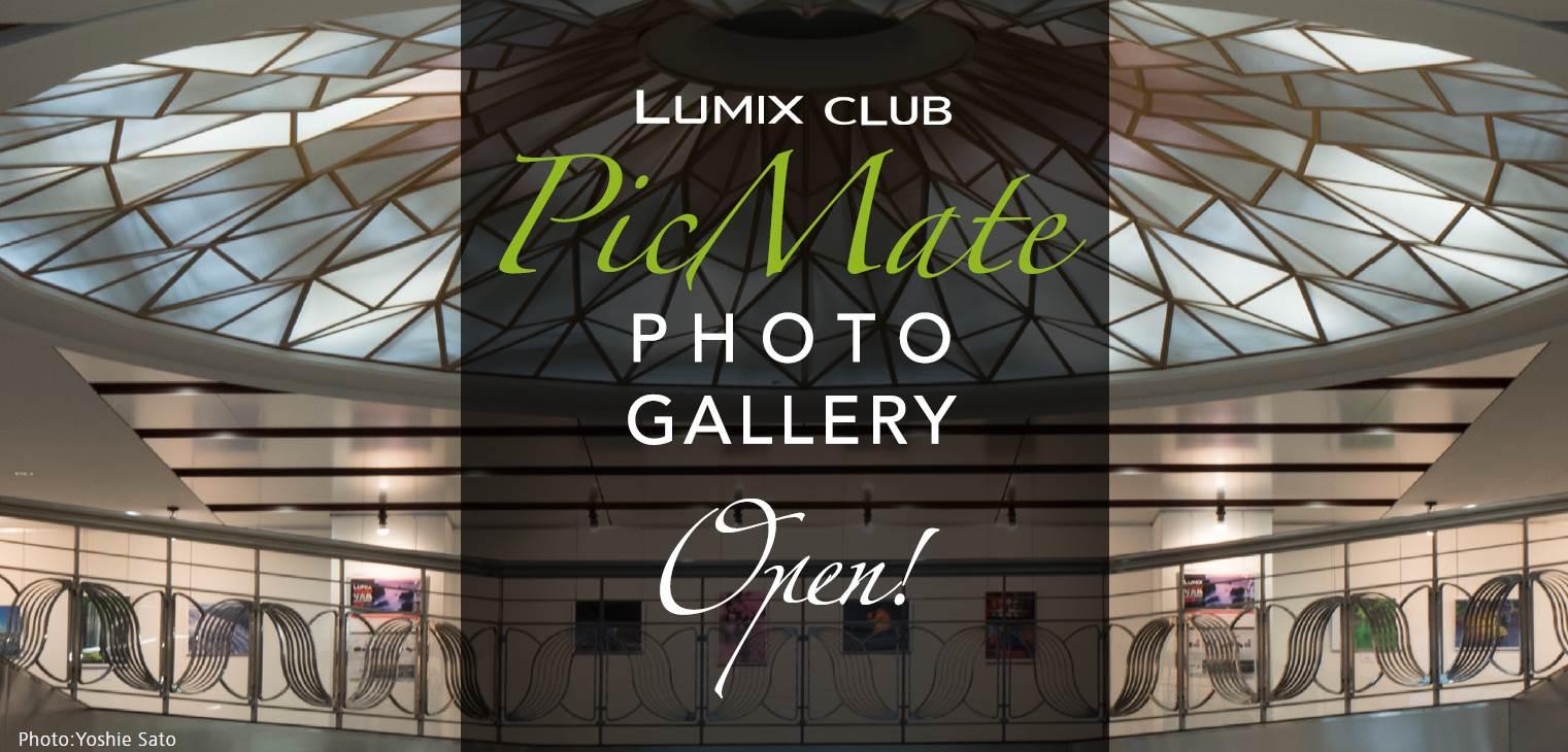 lumix club