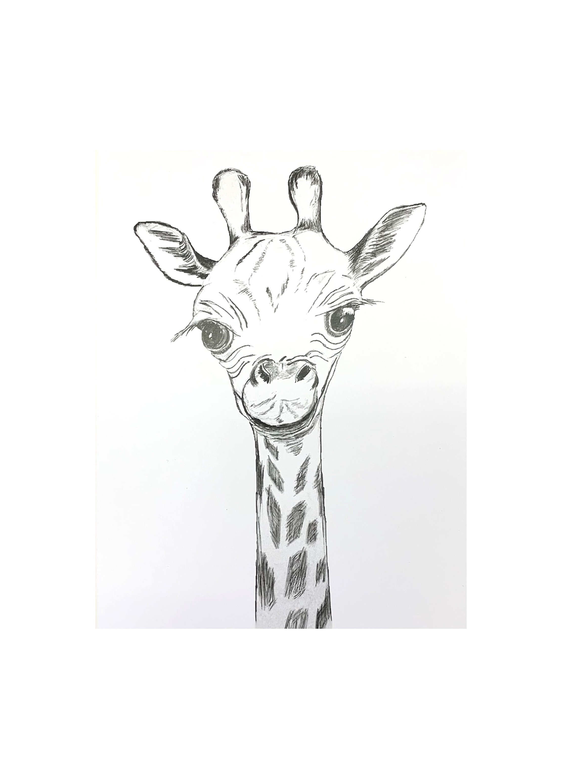 cute giraffe drawings