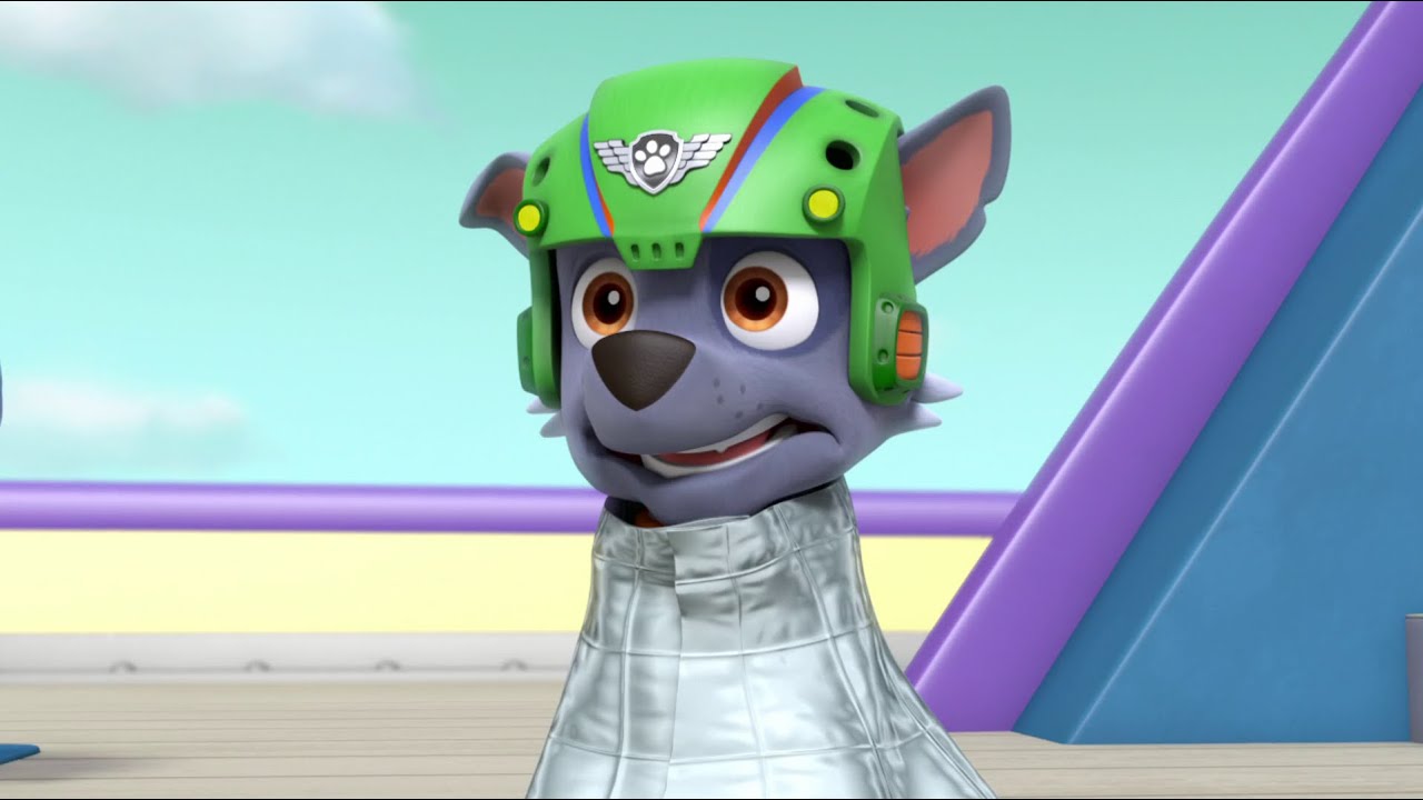 paw patrol rocky water