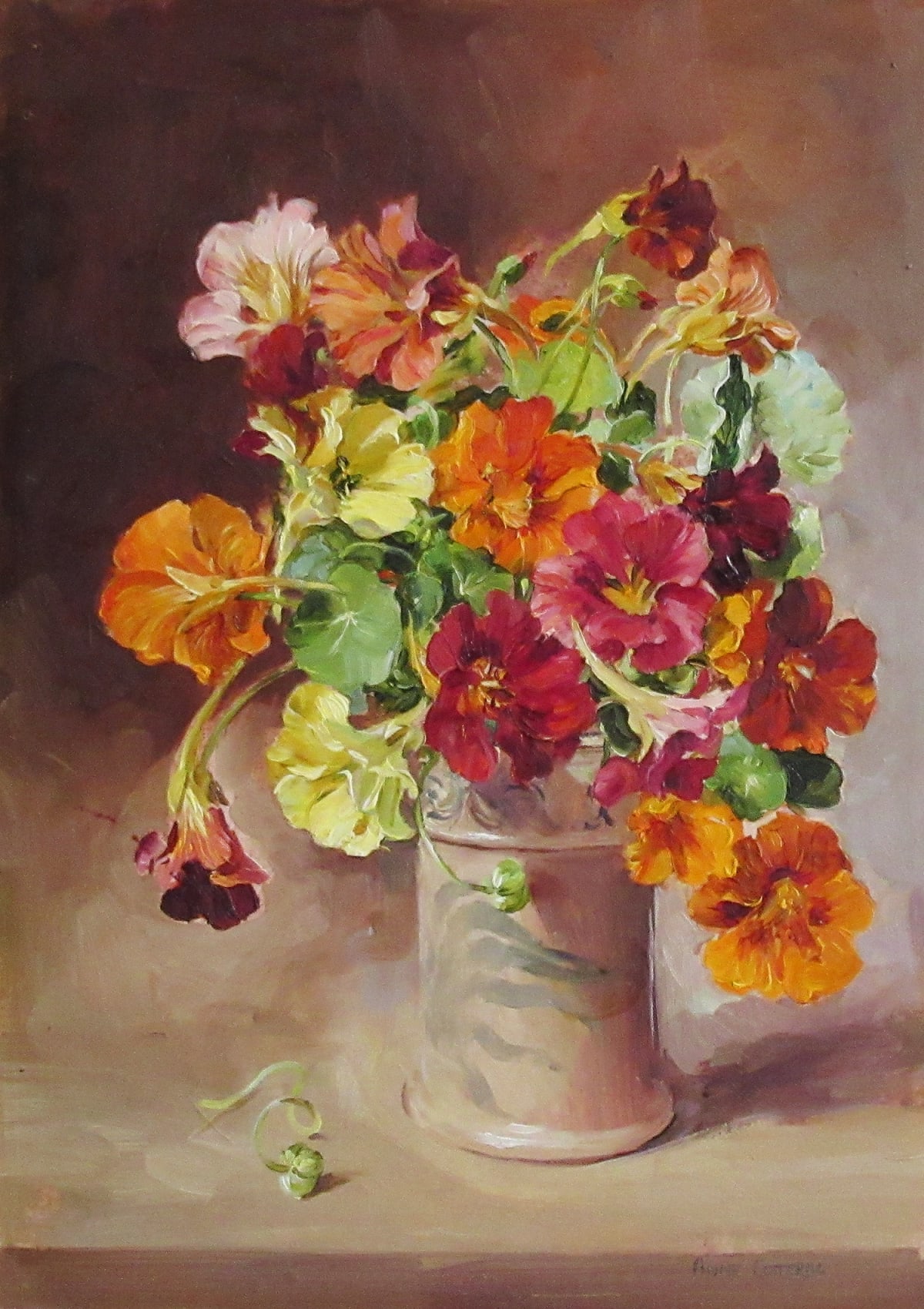 anne cotterill