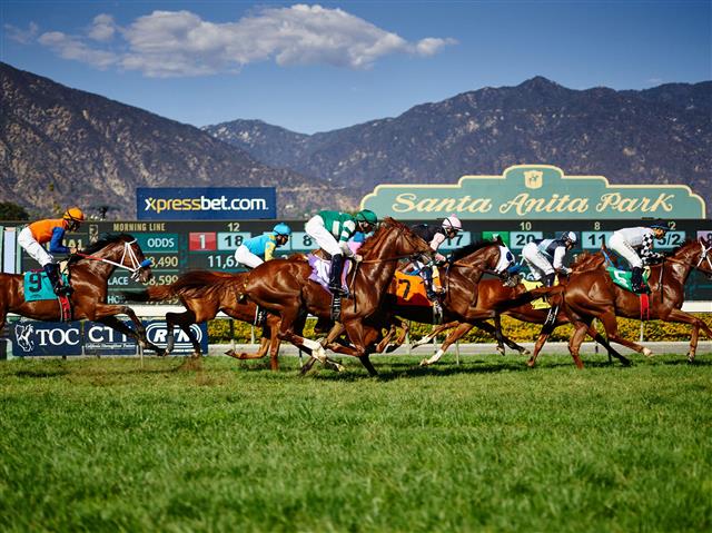 north america horse racing results