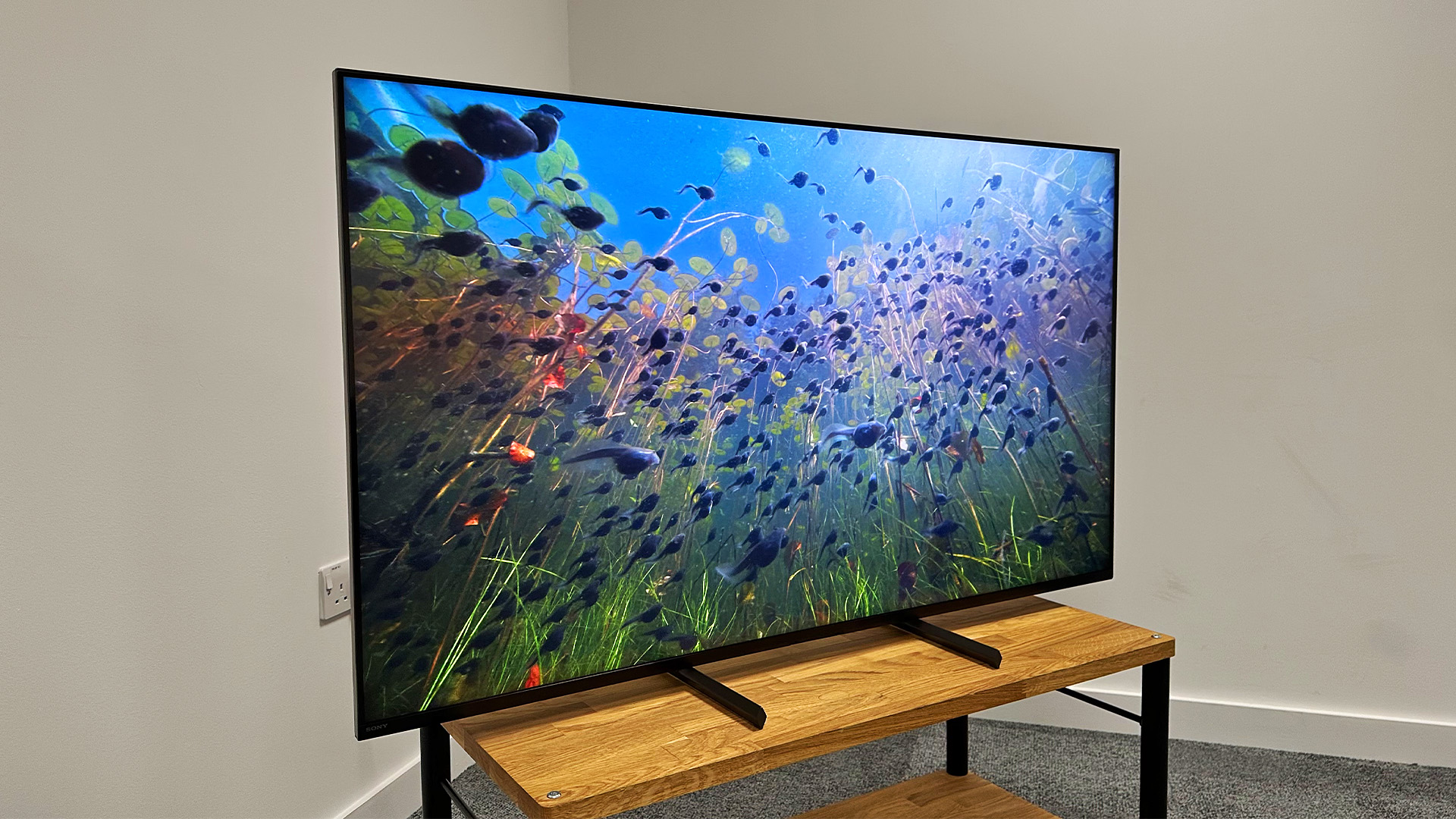 best sony 65 inch tv