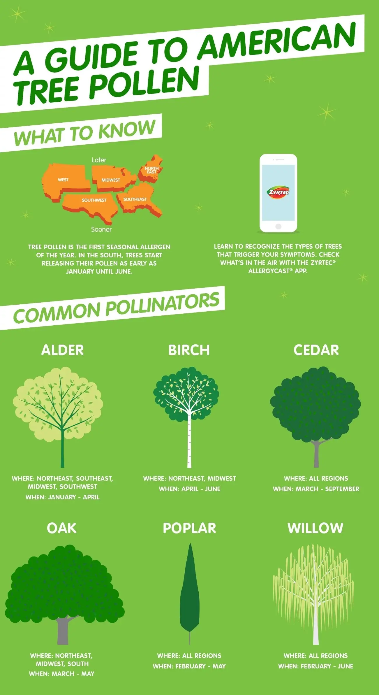 tree pollen count