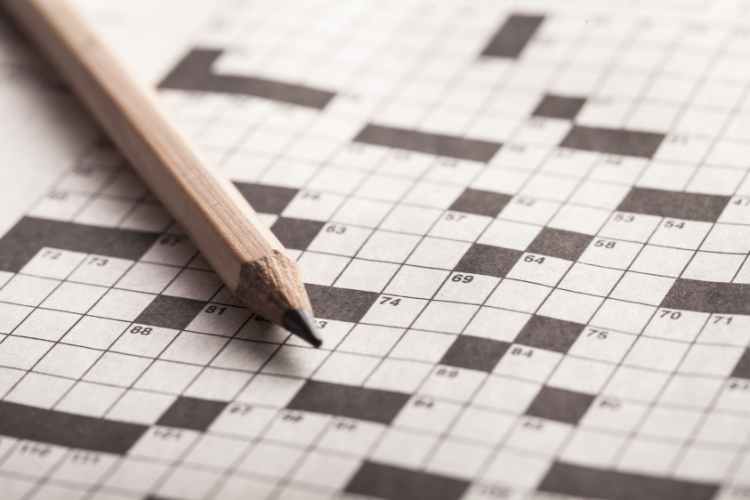 decks out crossword clue