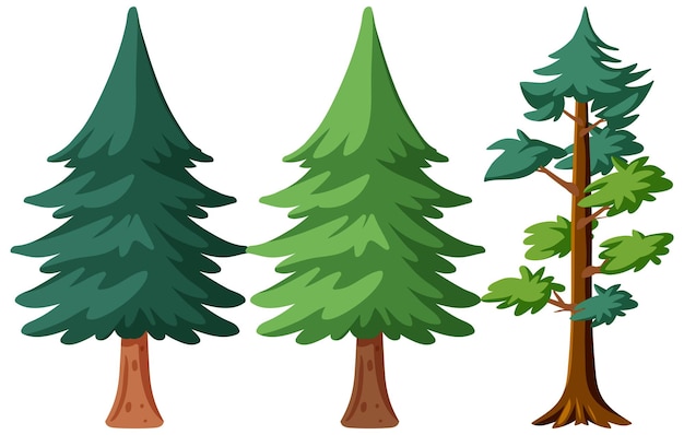 fir tree graphic