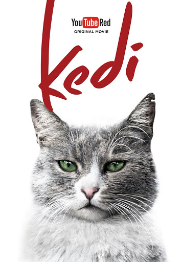 kedi film watch online