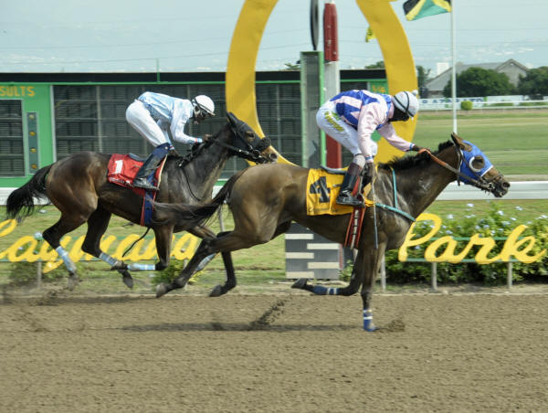 caymanas race track