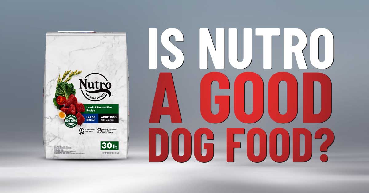 nutro natural choice dog food reviews