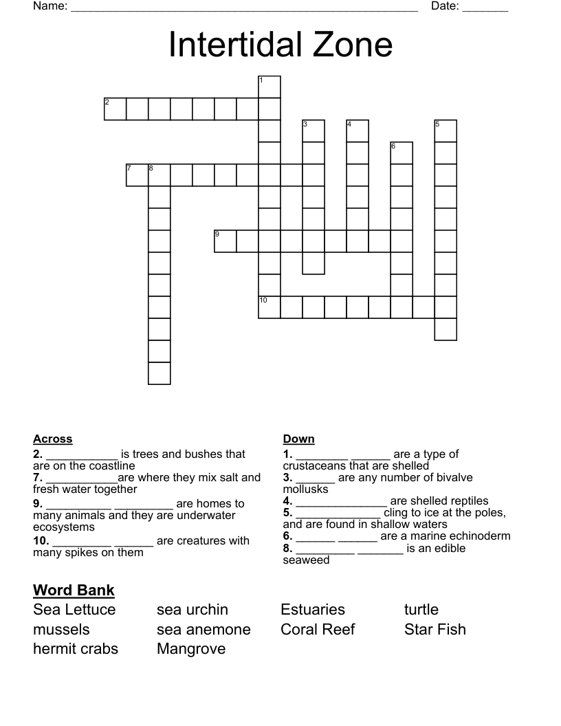 marine echinoderm crossword