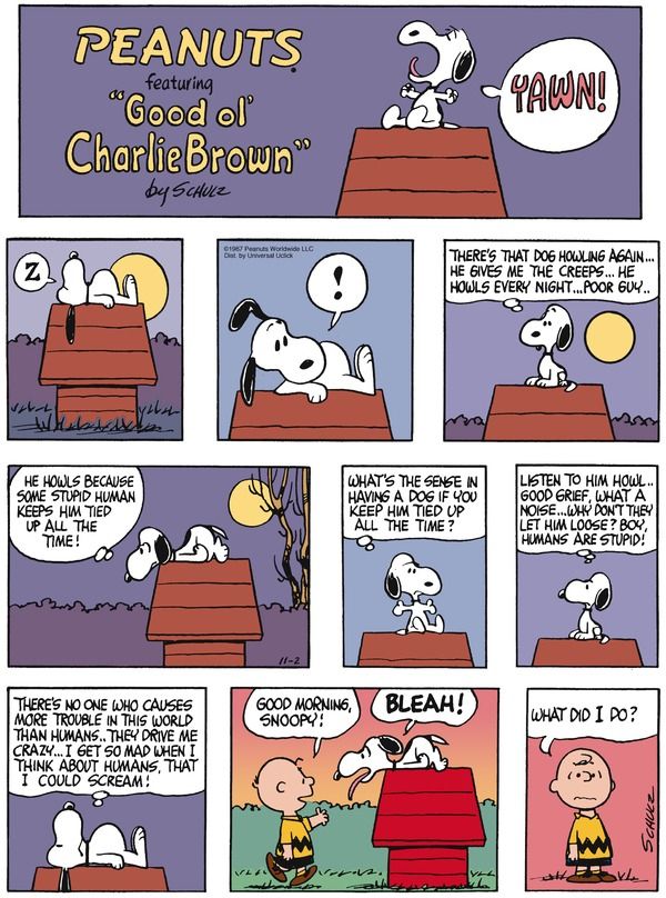 snoopy comic strip