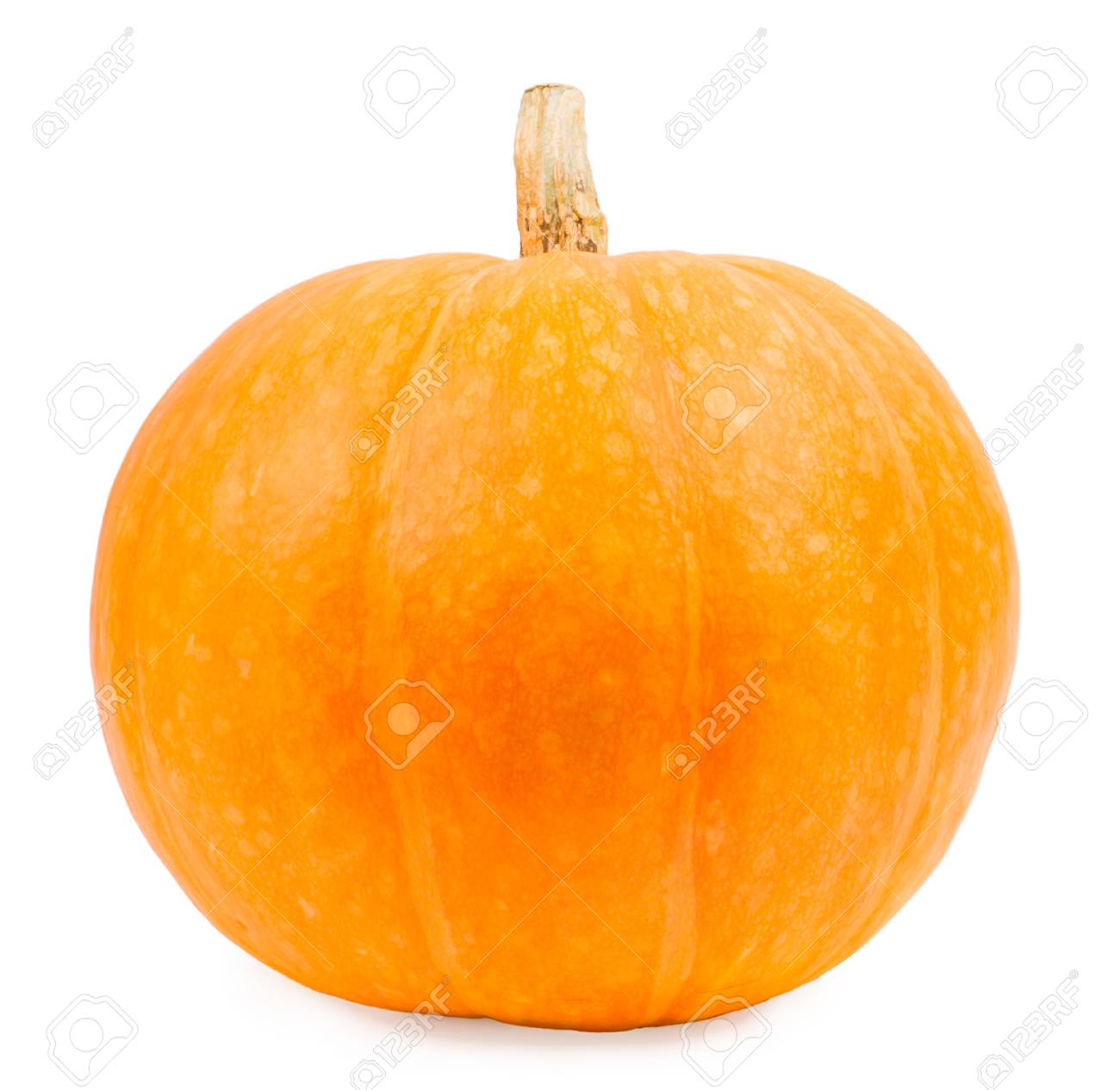 calabaza fondo blanco