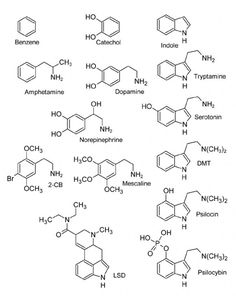 molecule tattoo