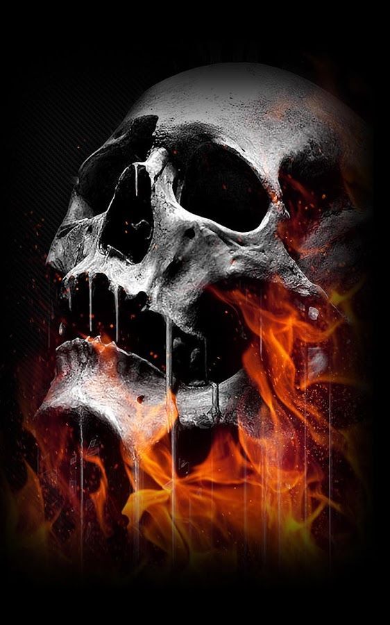 3d skull wallpaper