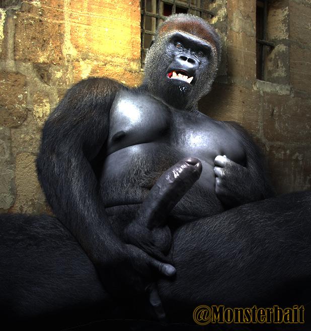 porn gorilla