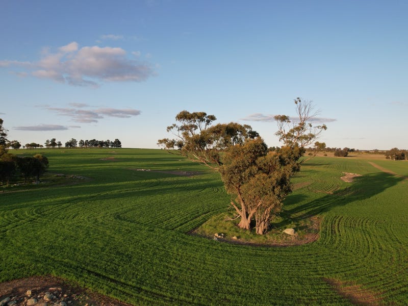 real estate wagin