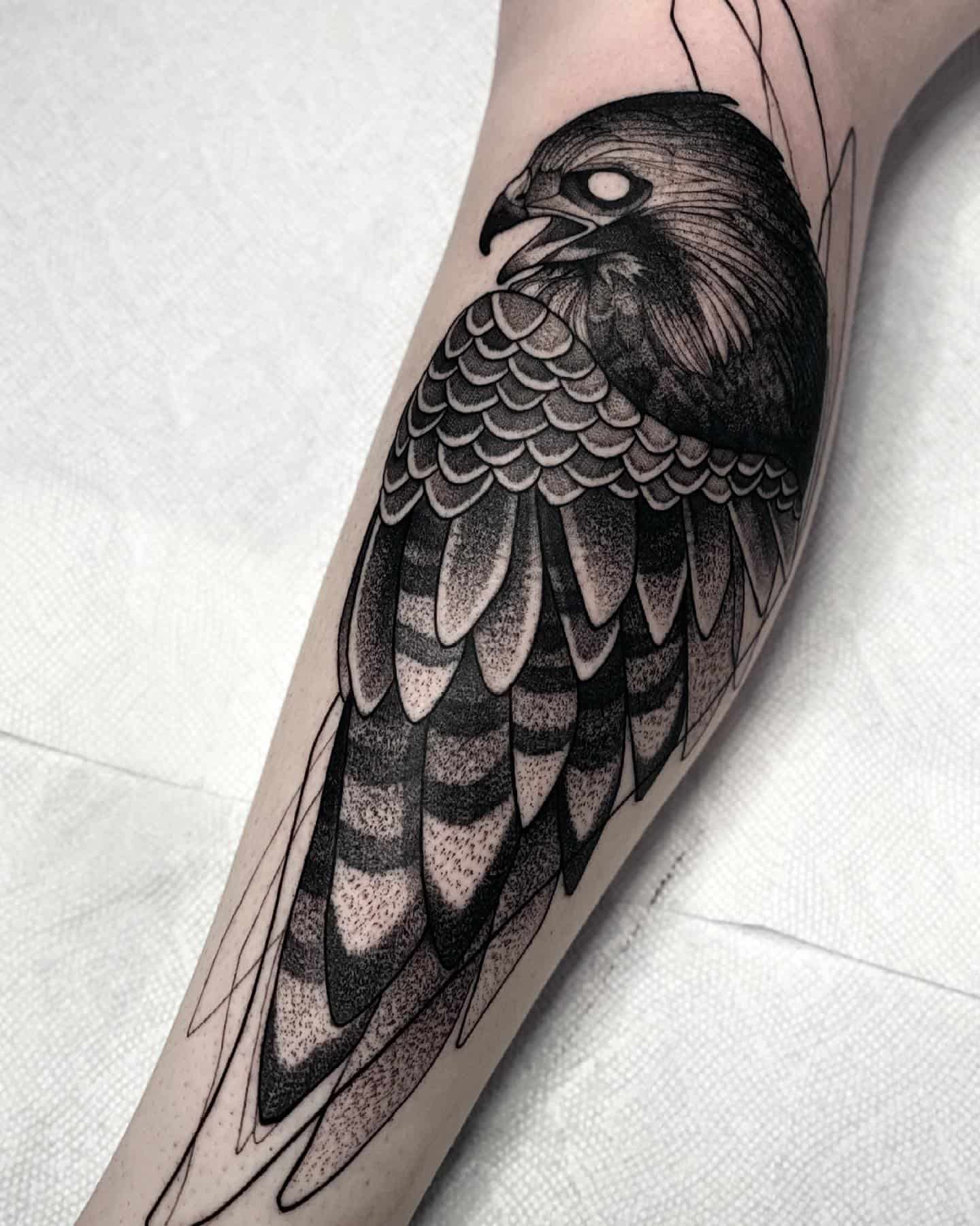 hawk tattoo ideas