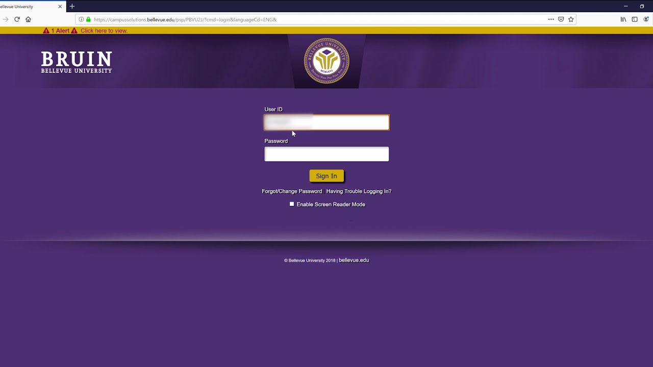 bellevue bruin login