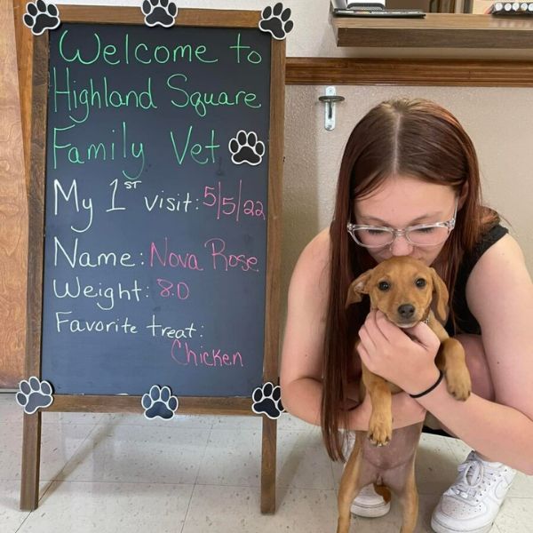 highland square family vet