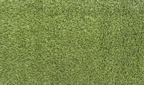 high resolution grass texture