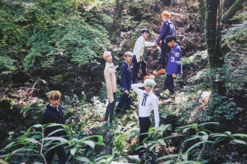 bts en la selva