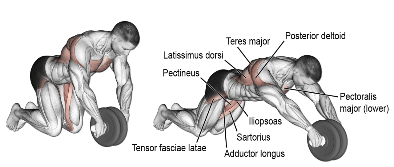 abs exercise with roller