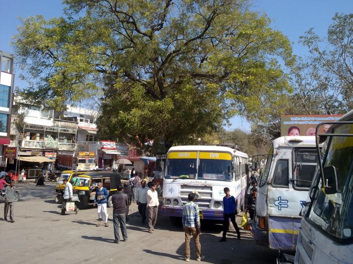 abu bus stand