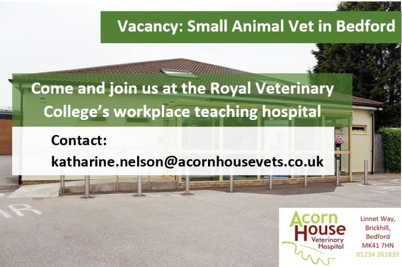 acorn vet bedford