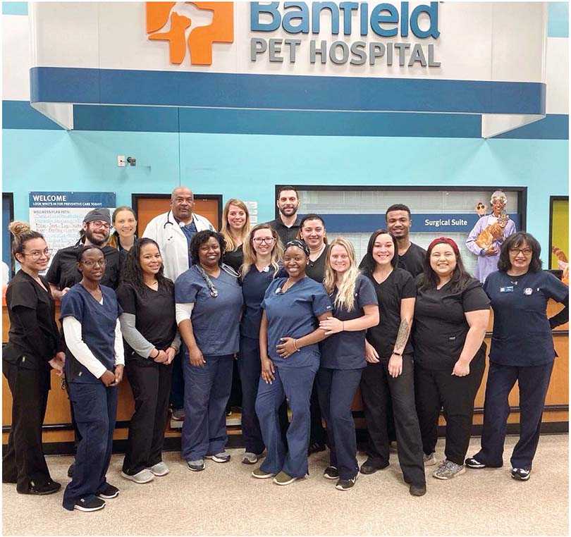 banfield pet hospital greensboro nc