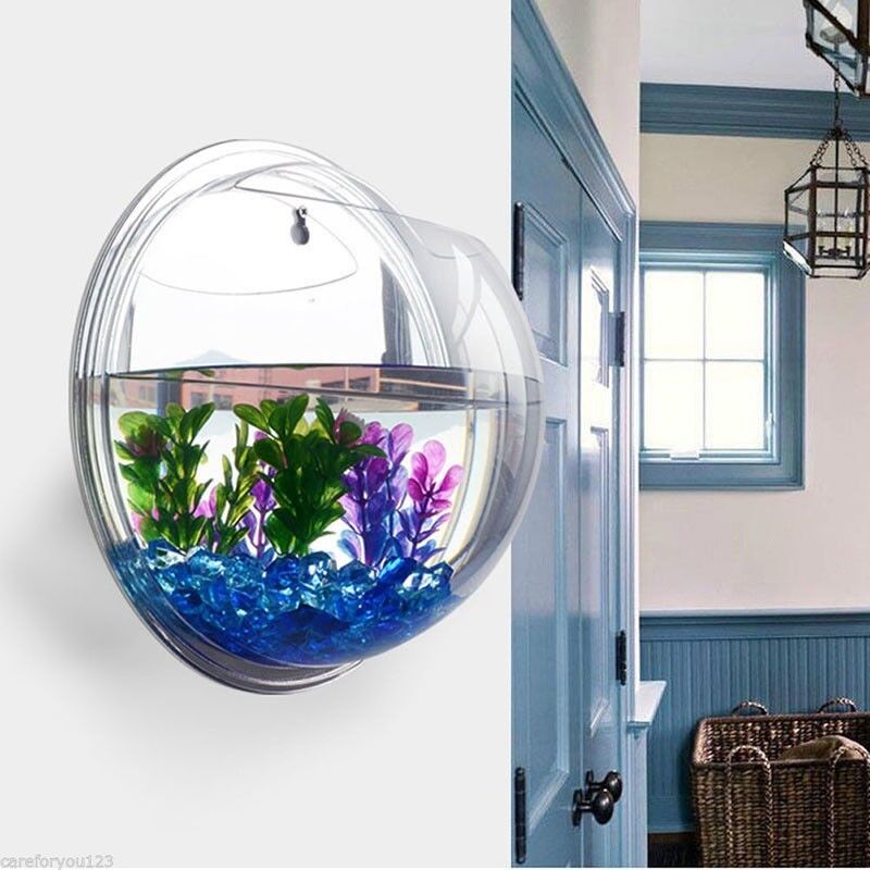 wall hanging fish tank