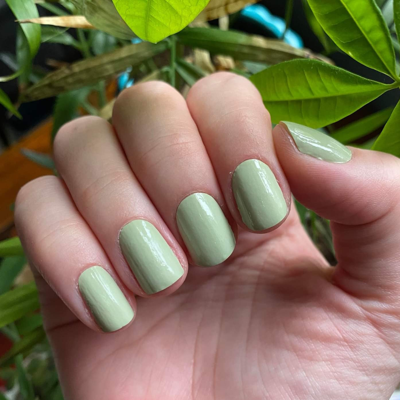 sage green nail polish