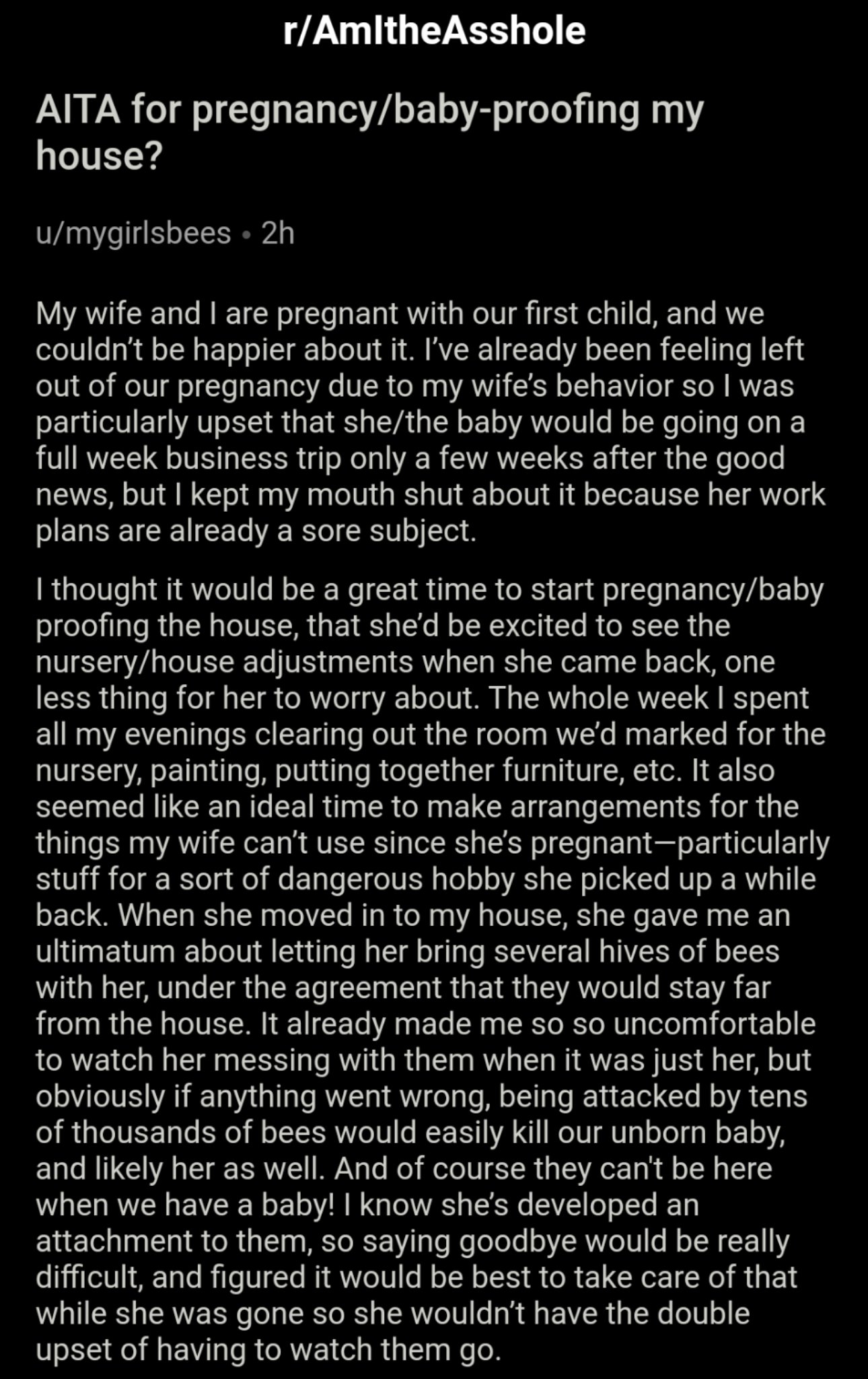 aita pregnant