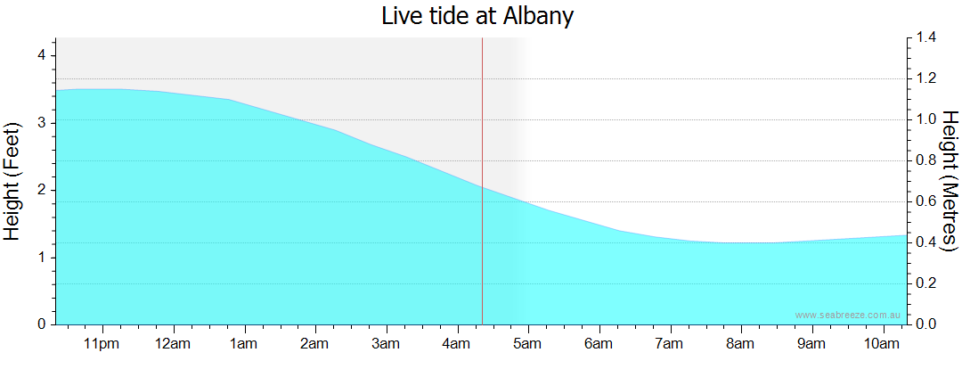 albany tides