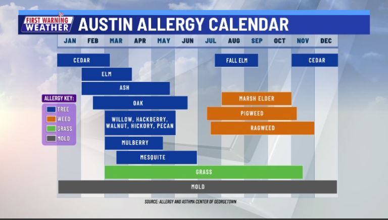 allergy forecast