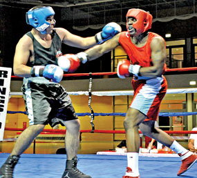 amiture boxing