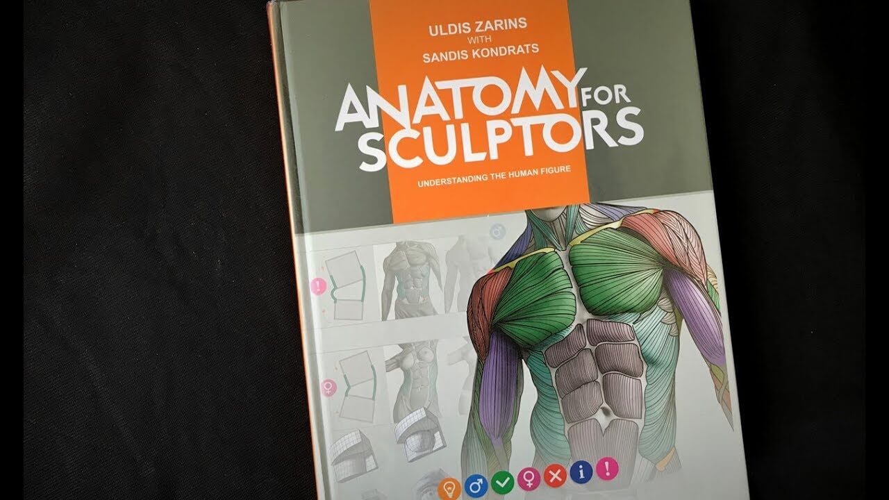 anatomy for sculptors pdf