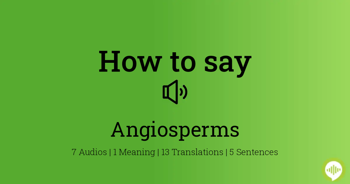 angiosperm pronunciation