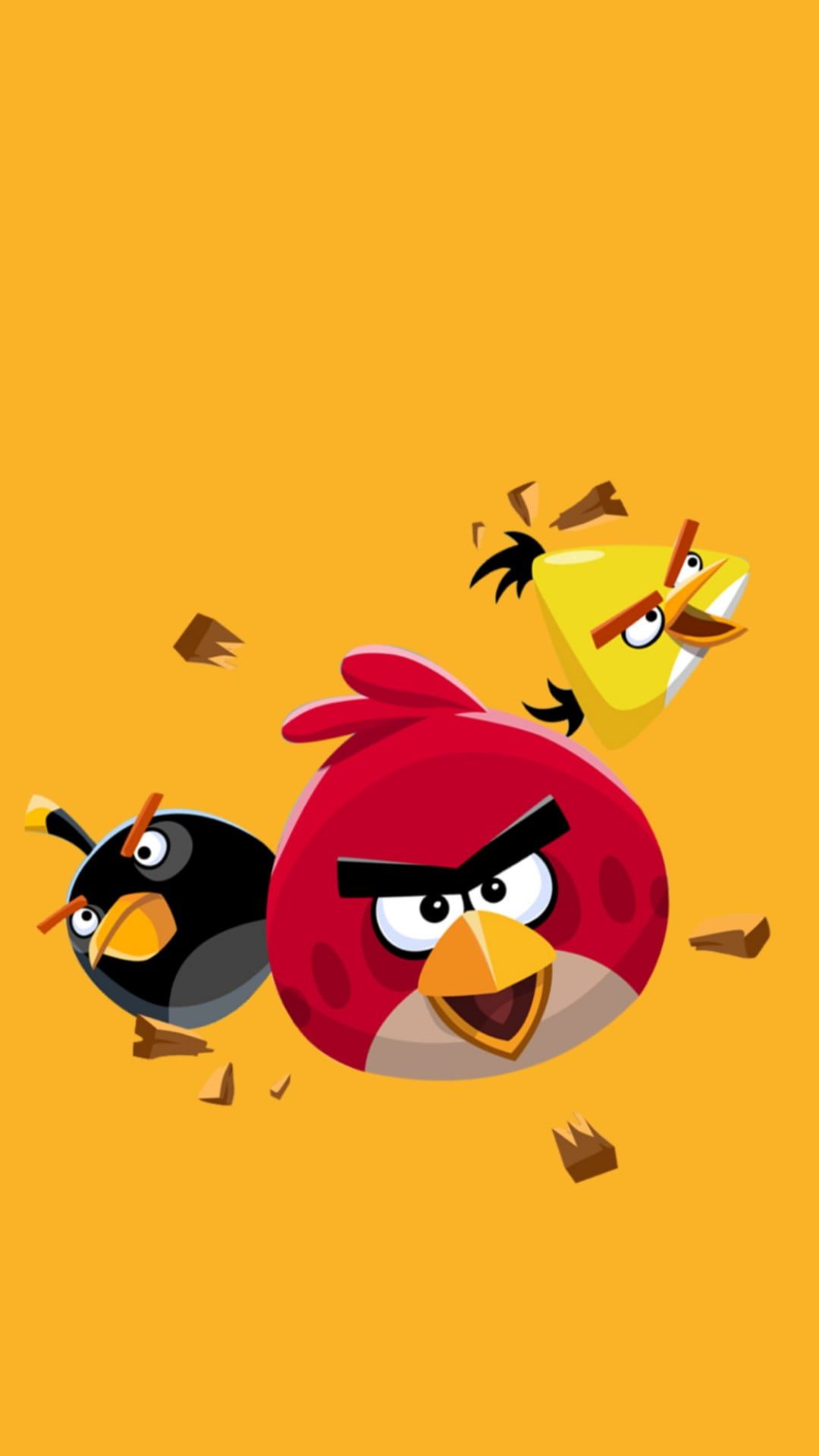 angry bird dp