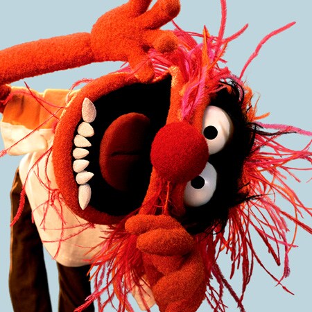 animal de muppets