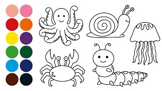 animales invertebrados para colorear