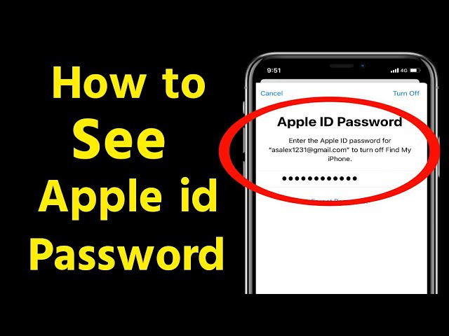 apple id password