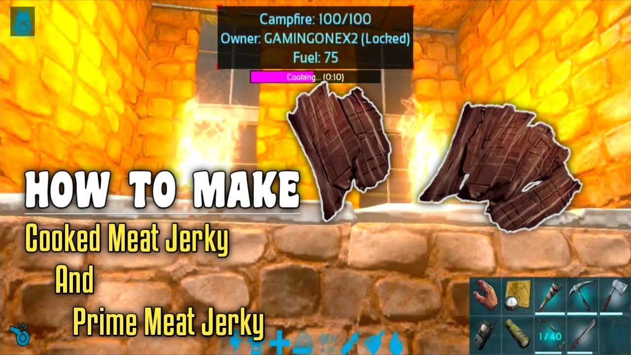 ark cooked meat jerky