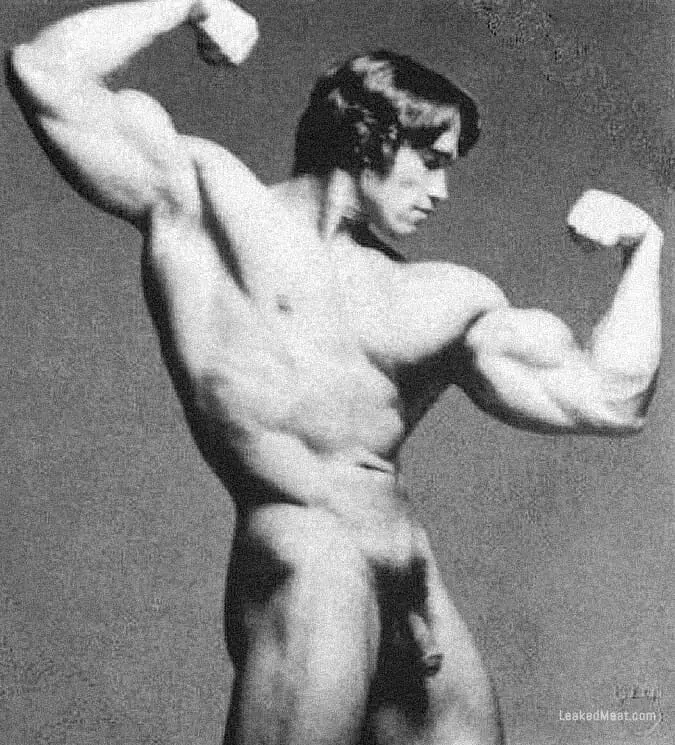 arnold schwarzenegger xxx