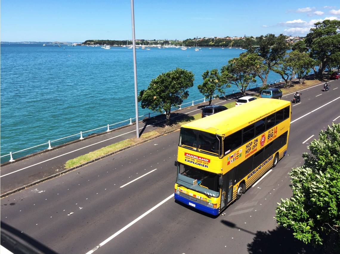 auckland explorer bus price